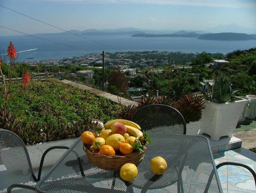 Villa Rosalia Ischia Exterior foto